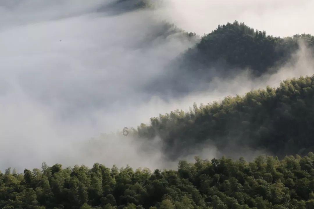 探索知识的爷爷家里要修房子,让我出钱,我应该出吗? - 快速解答您的问题